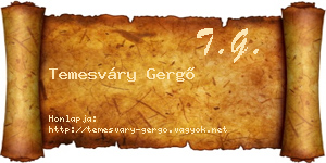 Temesváry Gergő névjegykártya
